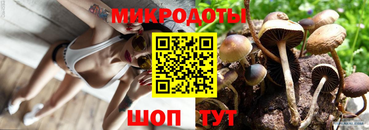 Галлюциногенные грибы Psilocybe  Псилоцибиновые грибы Cubensis  Вход с VPN  Апатиты 
